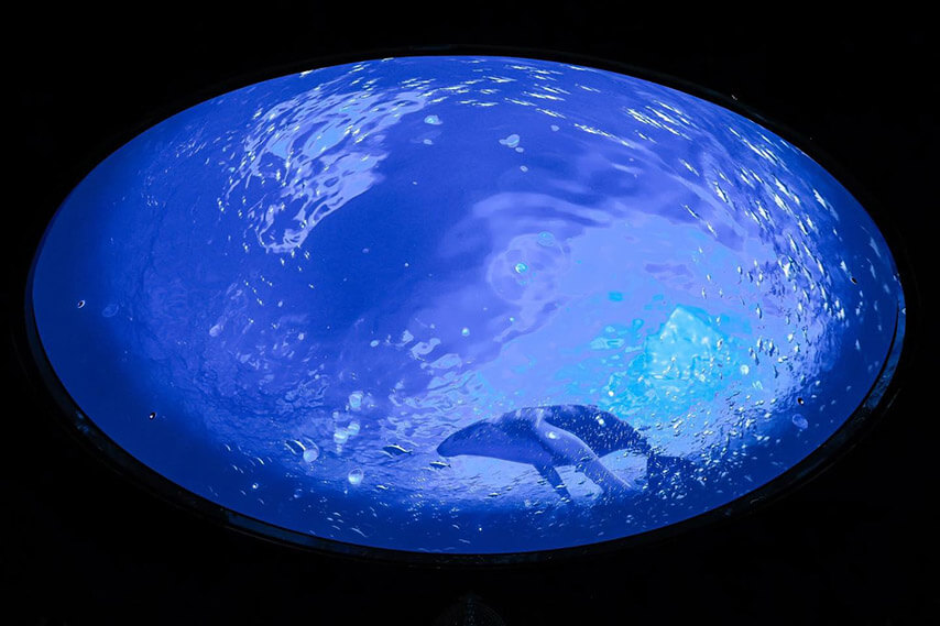 Khu chiếu video mapping (Nhà Mái Vòm)