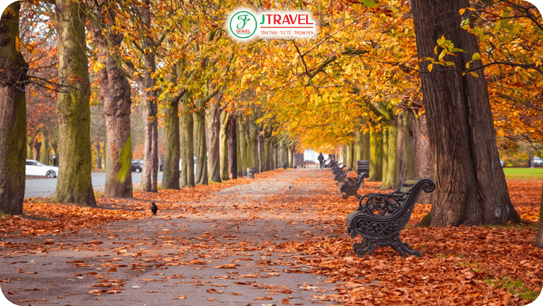 Những con phố rực lá vàng vào thu ở London
