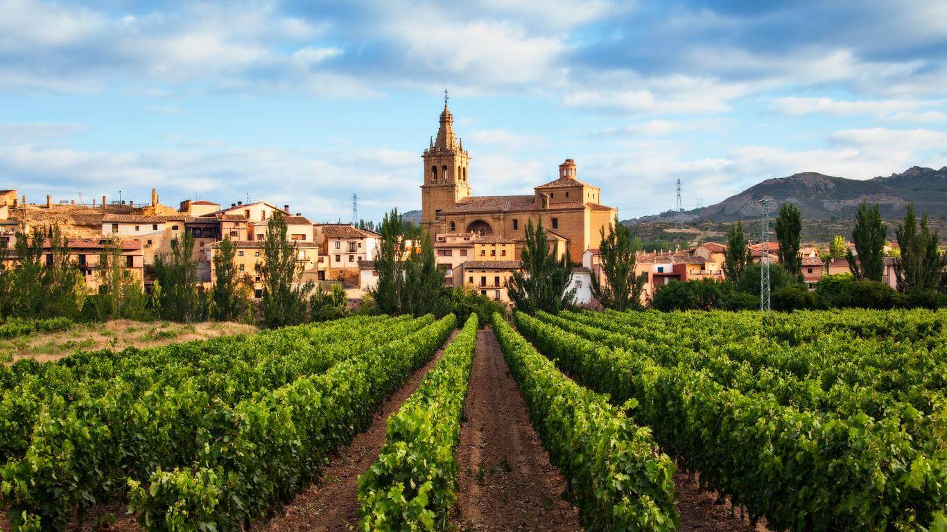 Rioja - Vùng Rượu Vang Nổi Tiếng Nhất Tây ban Nha (ảnh internet)