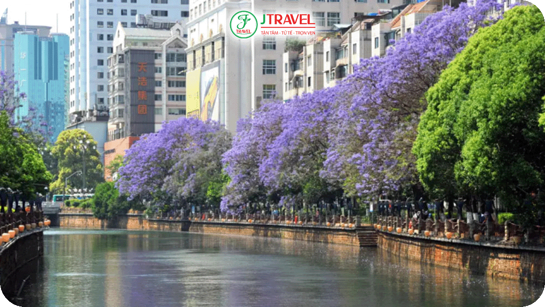 Ven sông Bàn Long – không gian ngắm hoa phượng tím yên bình giữa lòng Côn Minh