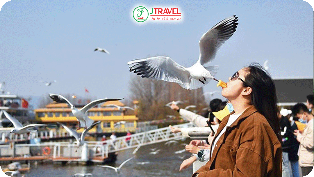 Hồ Điền Trì - Điểm đến hot cho team mê du lịch