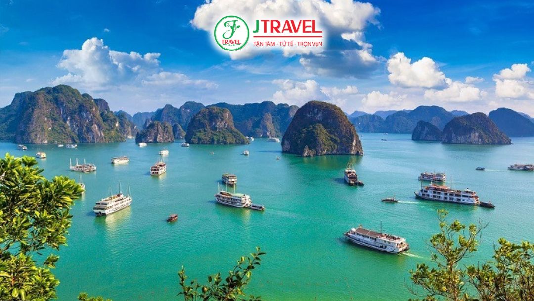 Cảnh quan đa dạng Việt Nam từ Hà Giang, Vịnh Hạ Long đến Phú Quốc thu hút du khách quốc tế