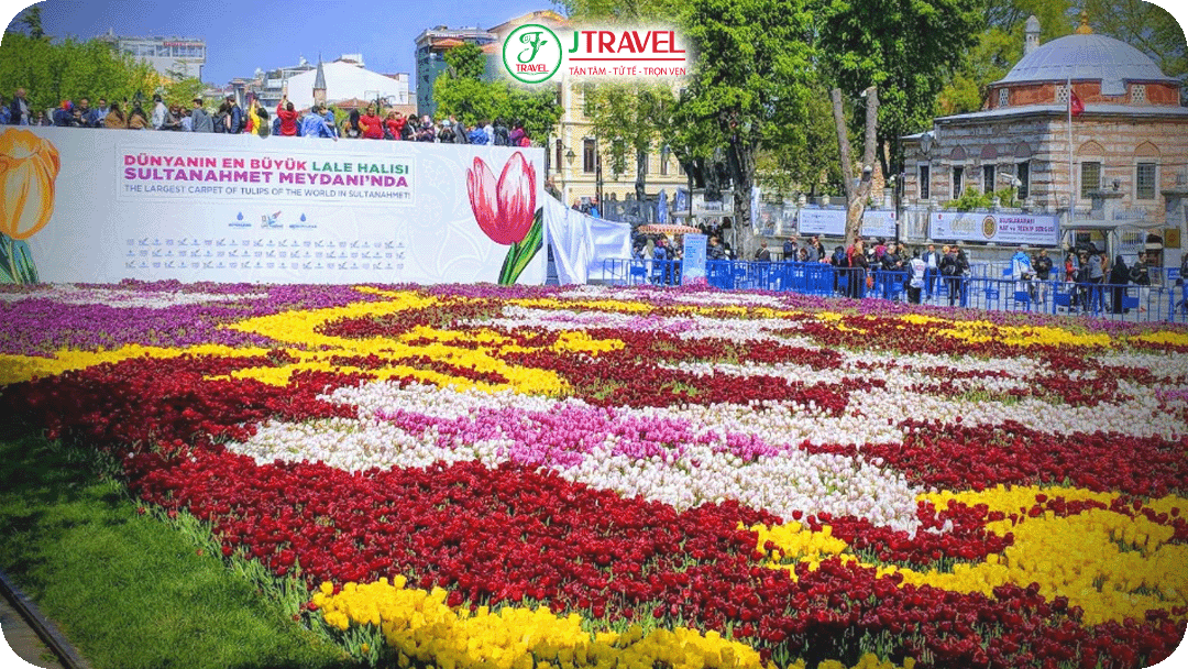 Sultanahmet Square là nơi hoa tulip khoe sắc ngay trong lòng lịch sử