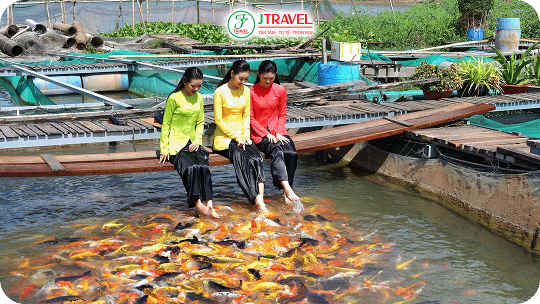 Trải nghiệm massage cá Koi thú vị tại Cồn Sơn