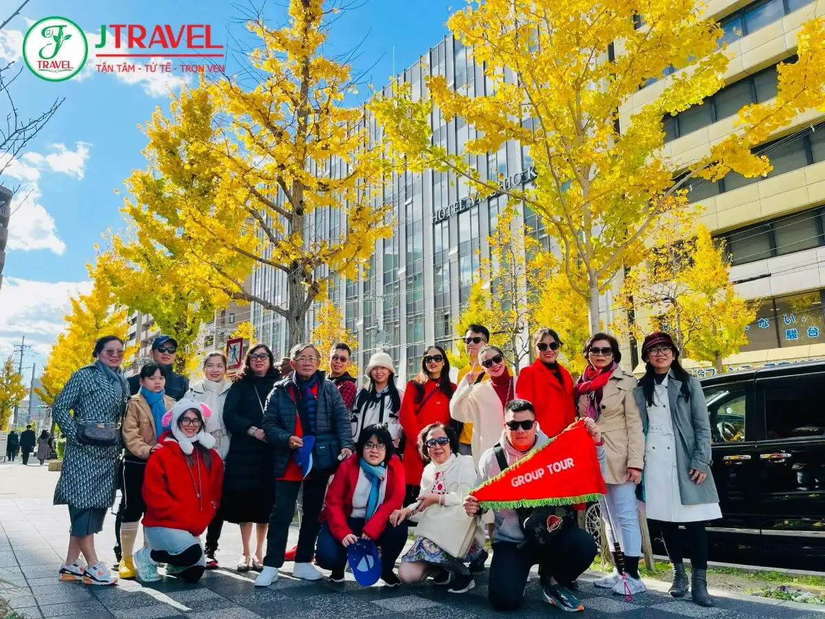 Tour Nhật Bản mùa lá đỏ: đoàn J Travel trên đại lộ ngân hạnh Tokyo