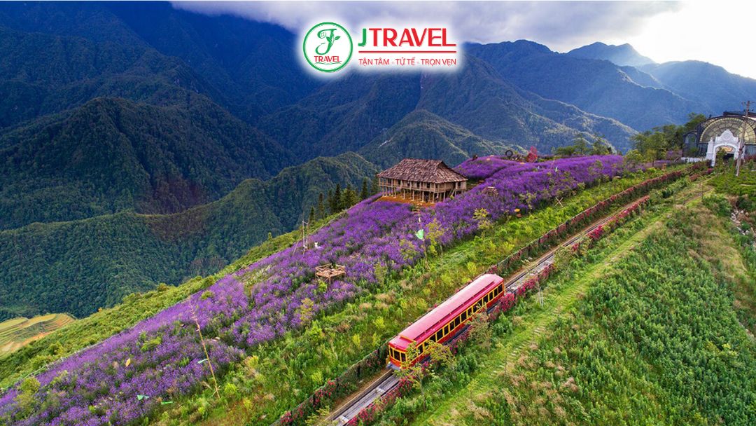 Thung lũng Mường Hoa với ruộng bậc thang vàng rực mùa lúa chín