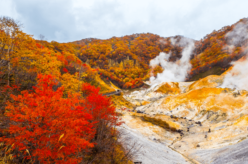 Hokkaido rực rỡ sắc thu (nguồn: internet)