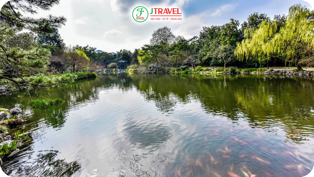 Hoa Cảng Quan Ngư – Khoảng lặng yên bình giữa Tây Hồ