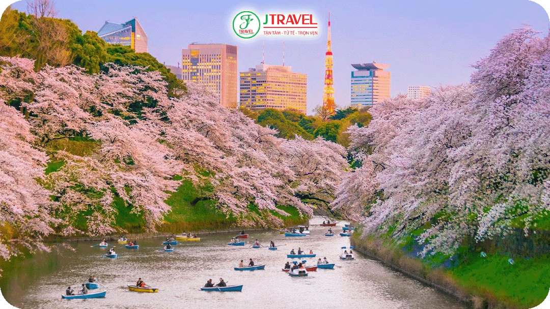 Thủ đô Nhật Bản luôn nằm trong top những nơi ngắm hoa anh đào đẹp nhất