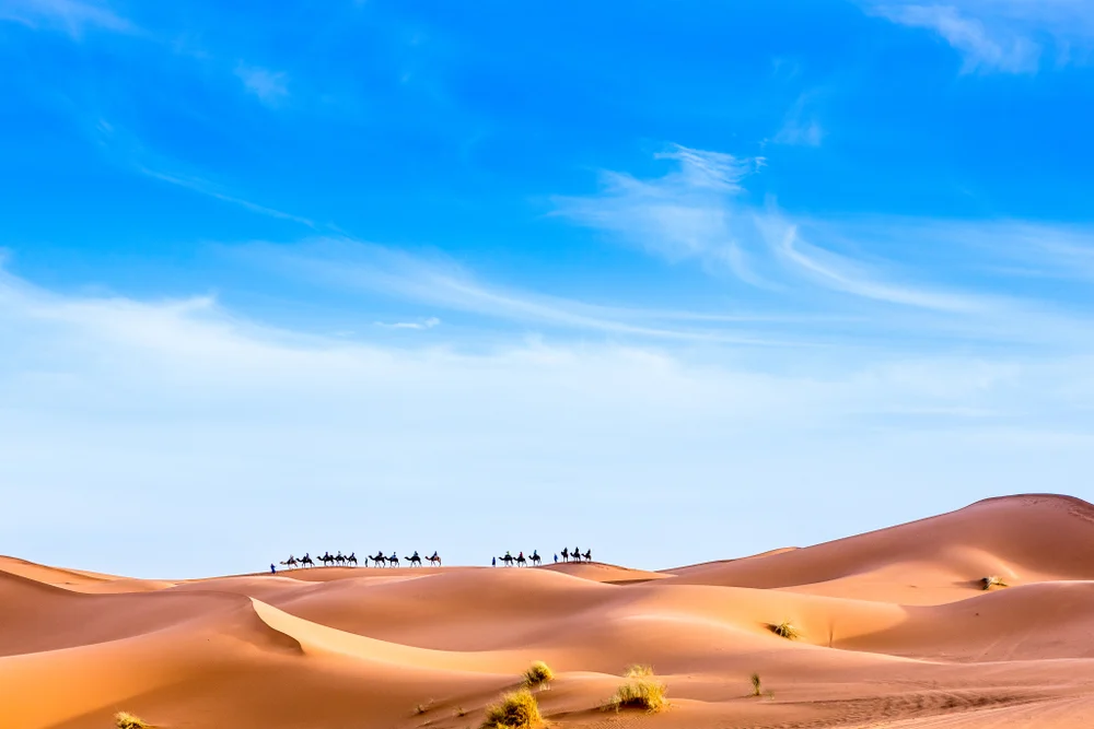 Khám Phá Sa Mạc Sahara