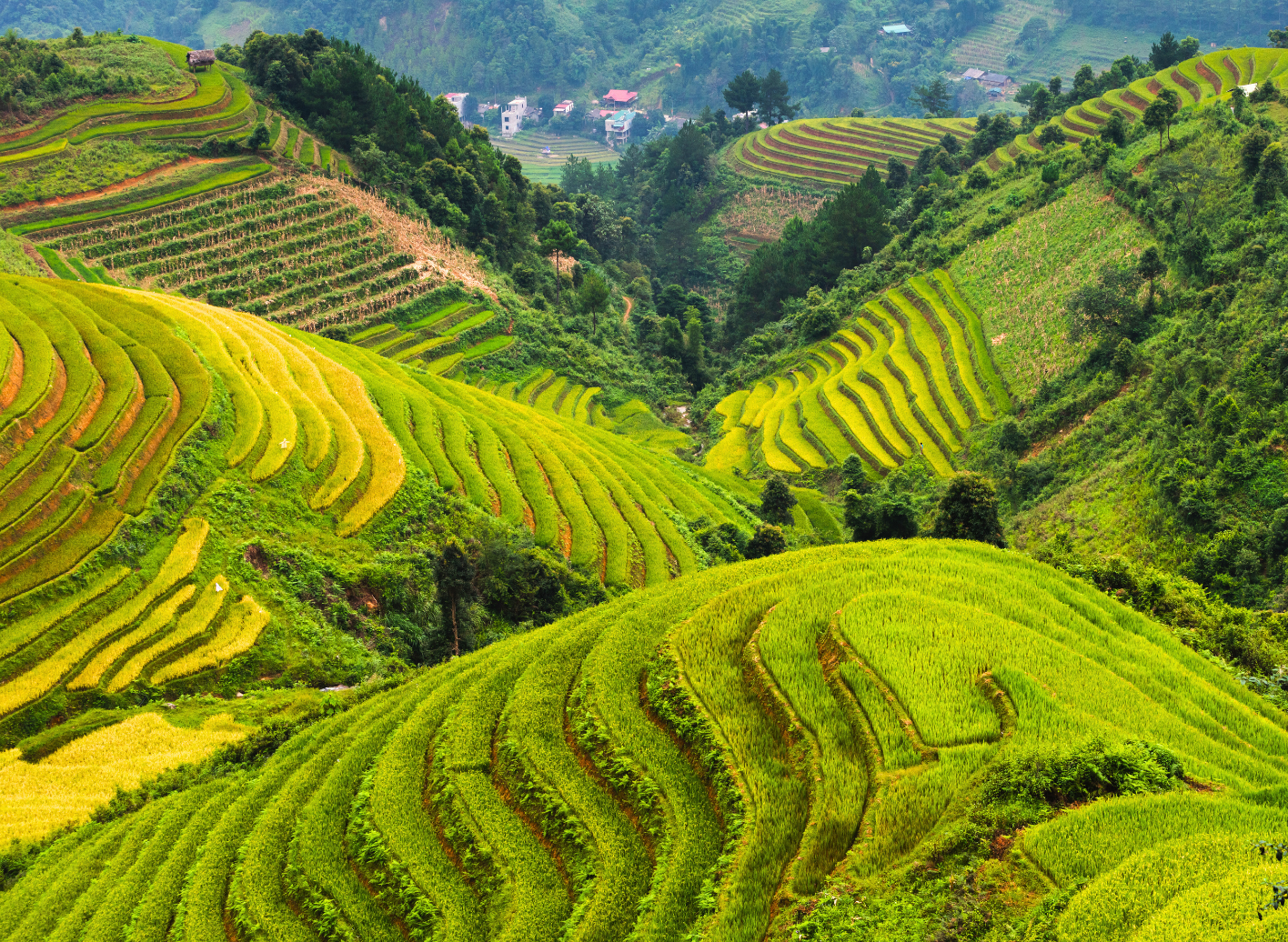 Tour Liên Tuyến Đông - Tây Bắc: Hà Giang - Sapa - Fansipan
