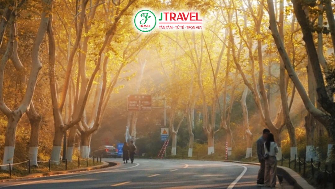 Tản Bộ Dưới Đường Hầm Lá Vàng