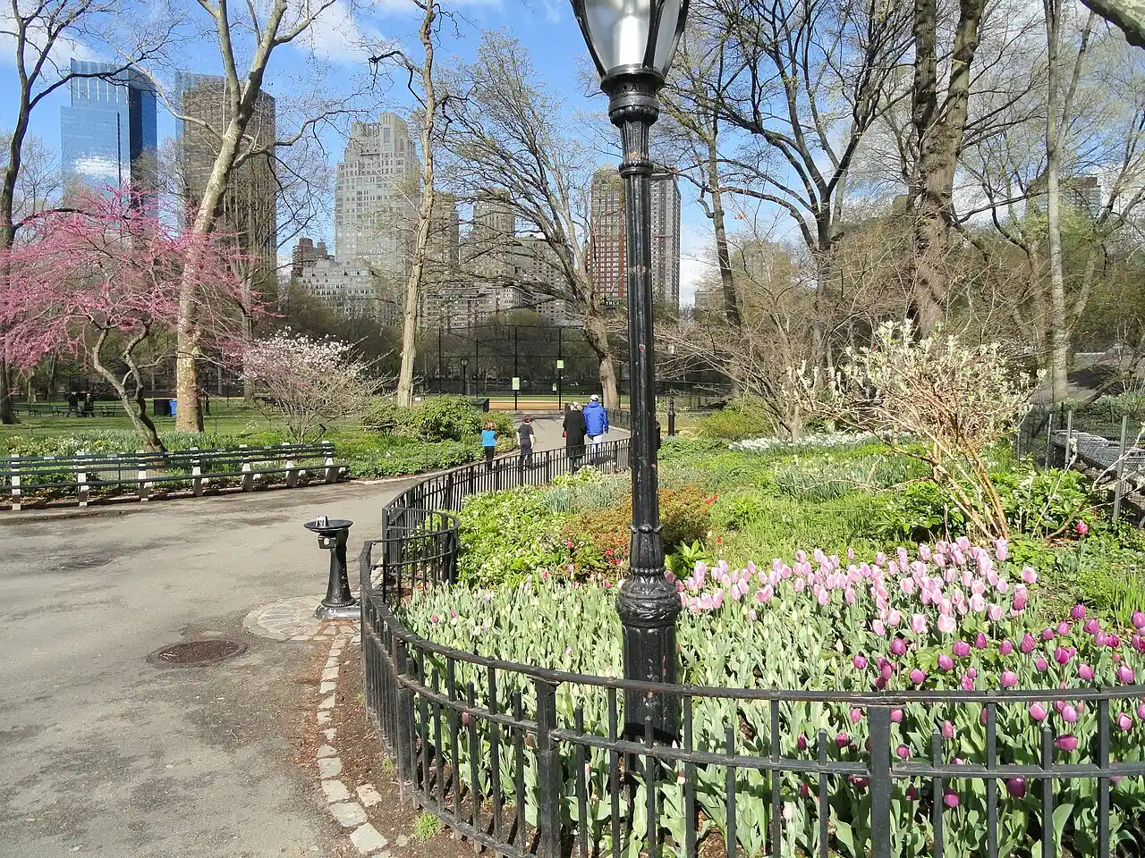 Đi bộ dưới nắng sáng ở Central Park New York, cách chống jet lag hiệu quả ngày đầu