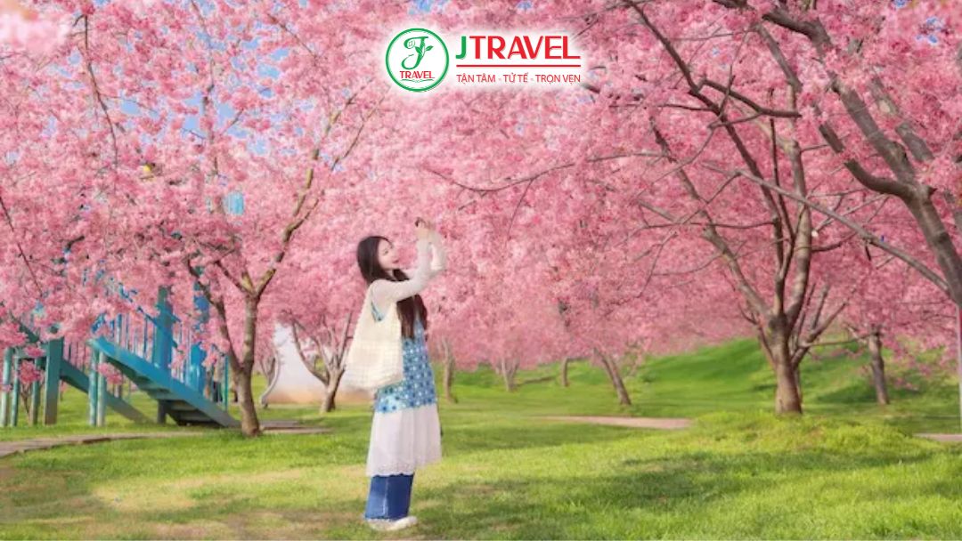 Trang Viên Manhua mùa xuân hoa đào nở rộ tại Thành Đô