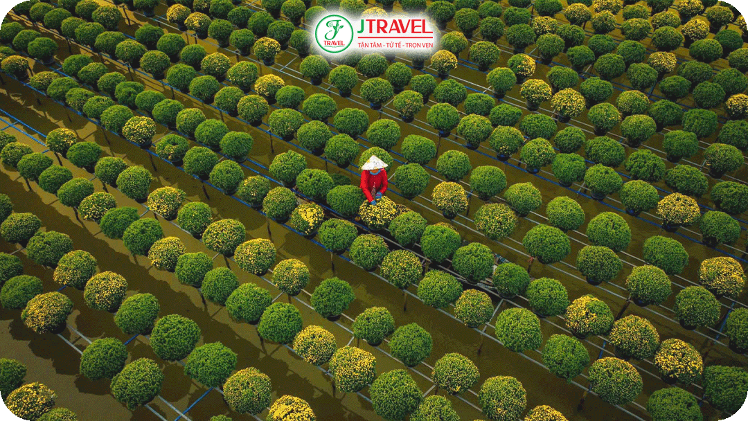 Ghé thăm Làng hoa Sa Đéc - Vựa hoa lớn nhất miền Tây