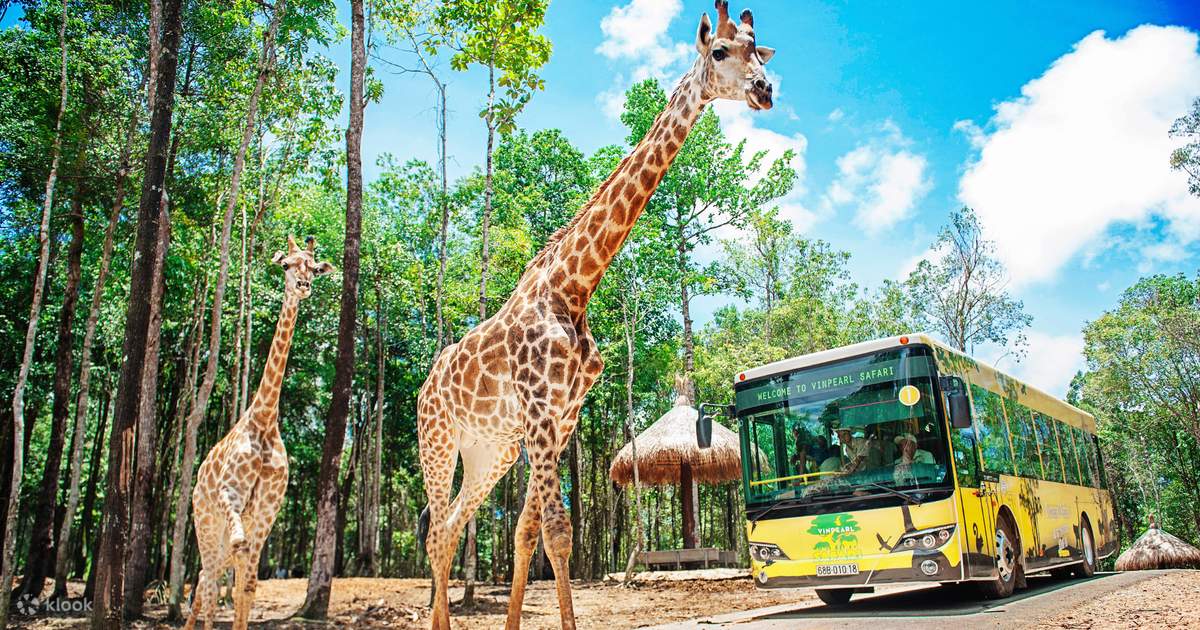 [Tour Lễ 30/4] TP.HCM - Phú Quốc: Safari Rạch Vẹm - Vương Quốc Sao Biển 3N2Đ