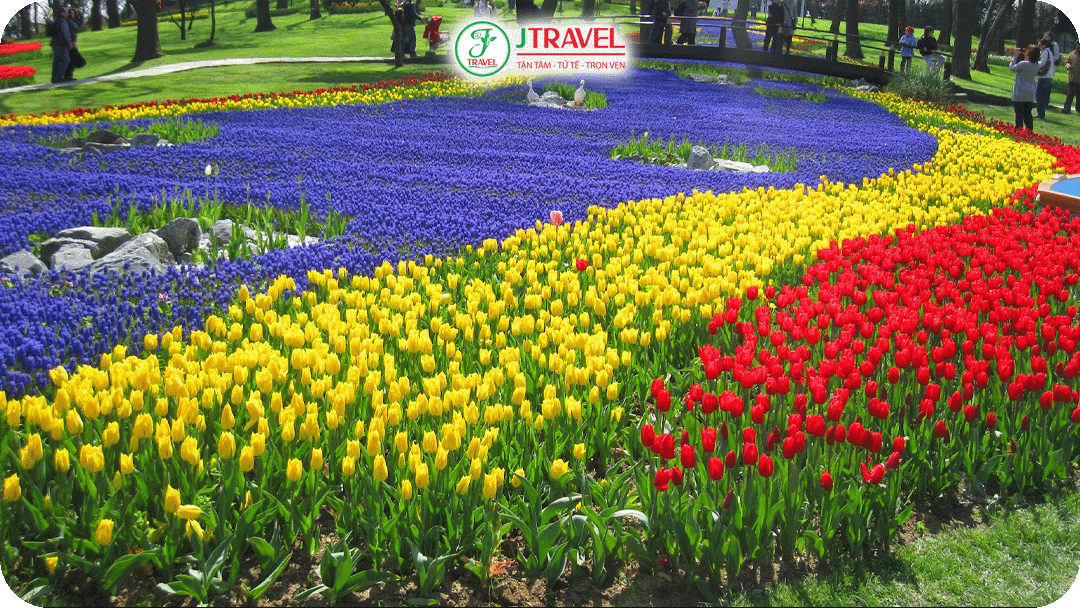 Lễ hội hoa tulip Istanbul được tổ chức thường niên vào tháng 4