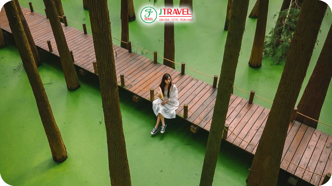 Mùa hè mặt hồ Thành Sơn phủ kín bèo tấm một màu xanh ngọc bích