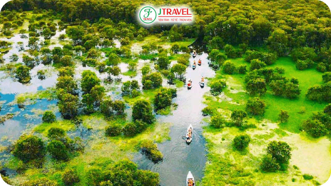 Rừng tràm Trà Sư – Thiên đường sinh thái mùa nước nổi