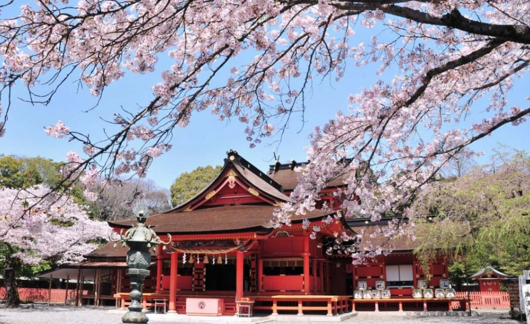 Ngôi đền Fujisan Hongu Sengen Taisha mùa xuân