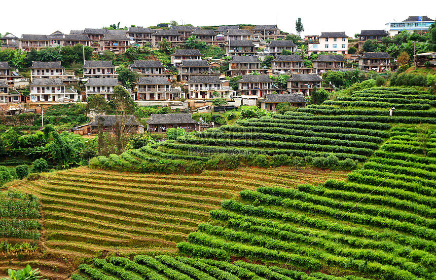 Tây Song Bản Nạp nổi bật với khung cảnh thiên nhiên hoang sơ, đậm chất nhiệt đới (ảnh internet)