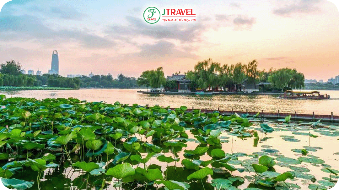 Hồ Đại Minh (Daming Lake) – Hơi thở cổ kính giữa lòng đô thị