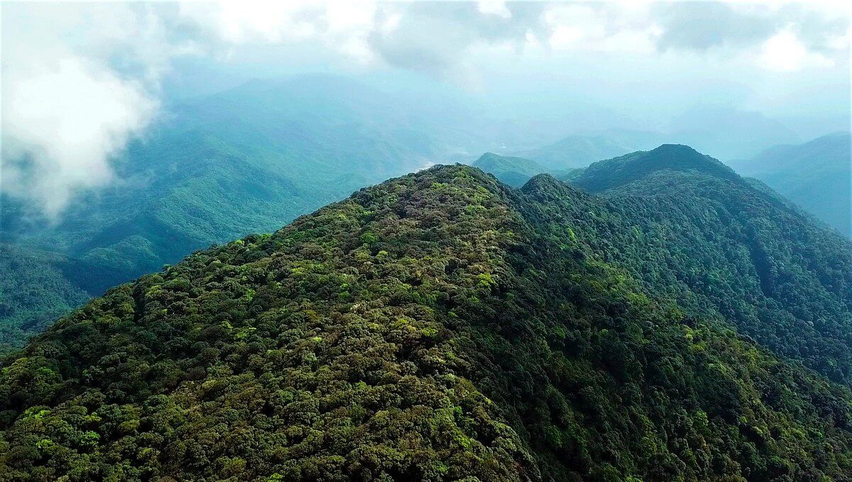 Nam Et-Phou Louey National Park (Sam Neua, Lào) (ảnh internet)