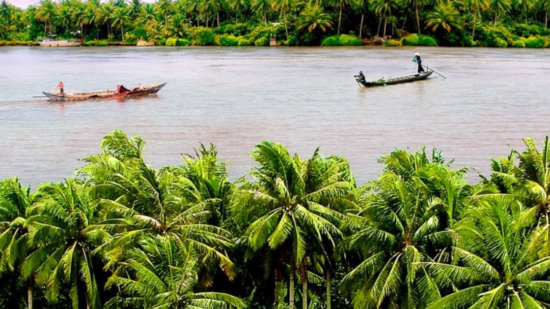 Giá Tour Bến Tre 1 Ngày Bao Nhiêu Nguồn: Internet
