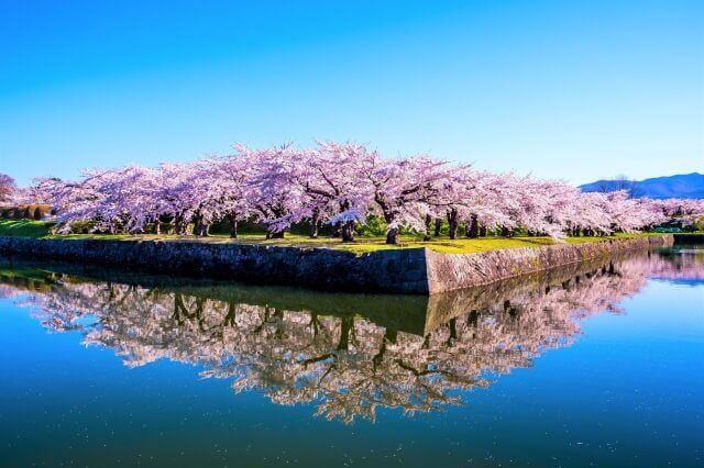 Mùa xuân tại Hokkaido Nhật Bản