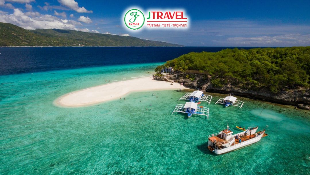 Cebu Philippines bơi cùng cá mập voi