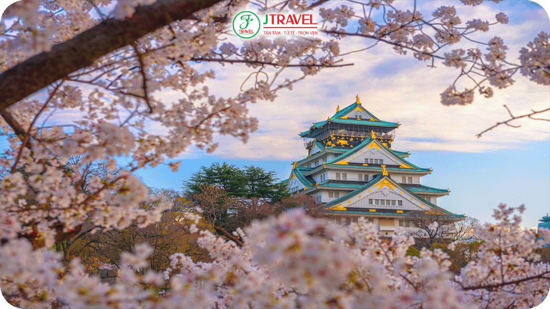 Vẻ đẹp lộng lẫy mùa hoa anh đào ở Osaka