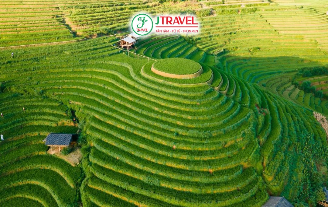 Ngắm ruộng bậc thang xanh mướt