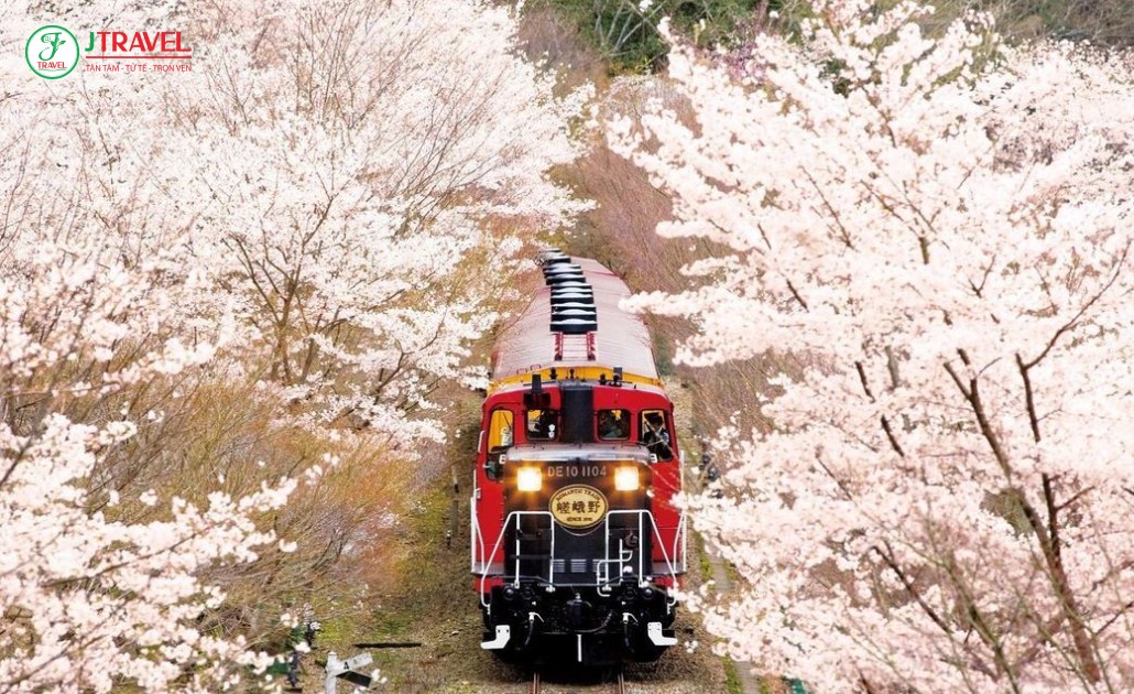 Chuyến tàu Sagano trải qua vườn hoa Arashiyama
