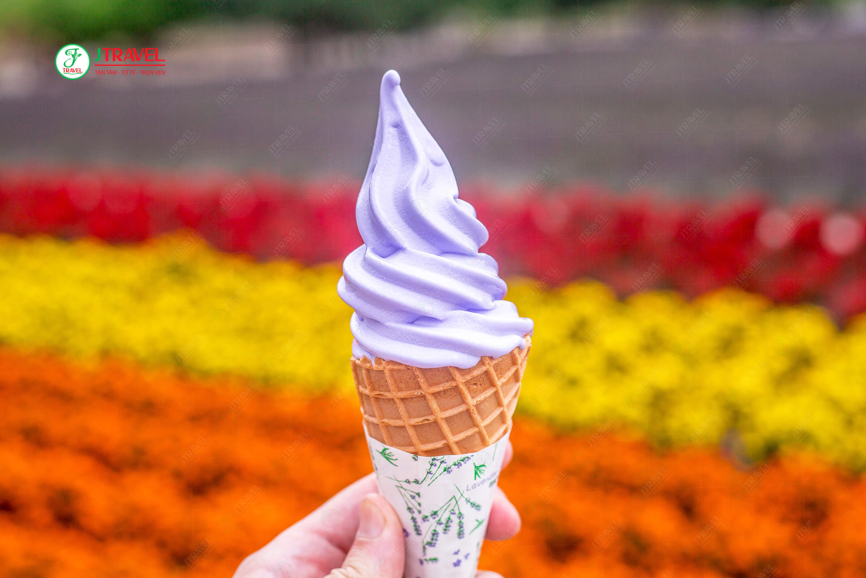 Thưởng thức kem mềm hương hoa oải hương tại Tomita Farm