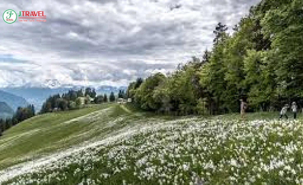 Đi bộ ngắm hoa tại Les Pléiades