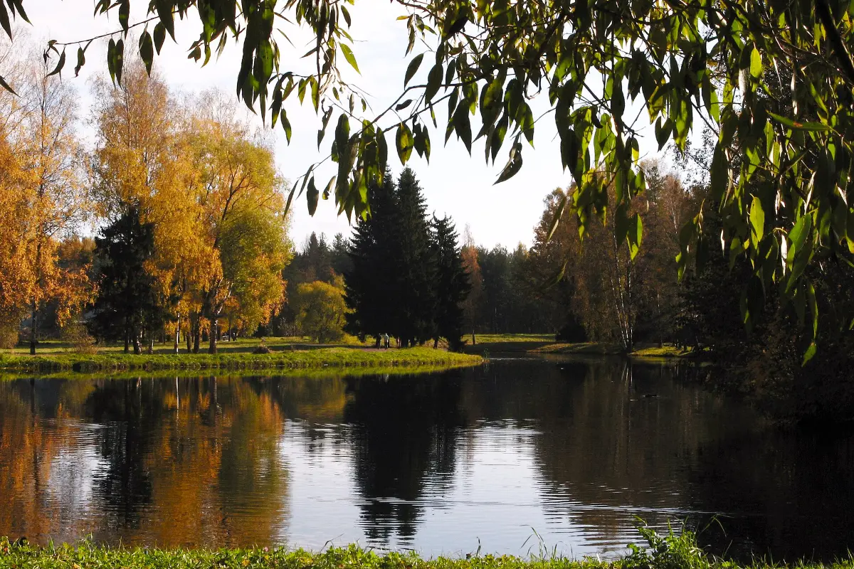 Công viên Pavlovsk mùa thu, ngoại ô Saint Petersburg