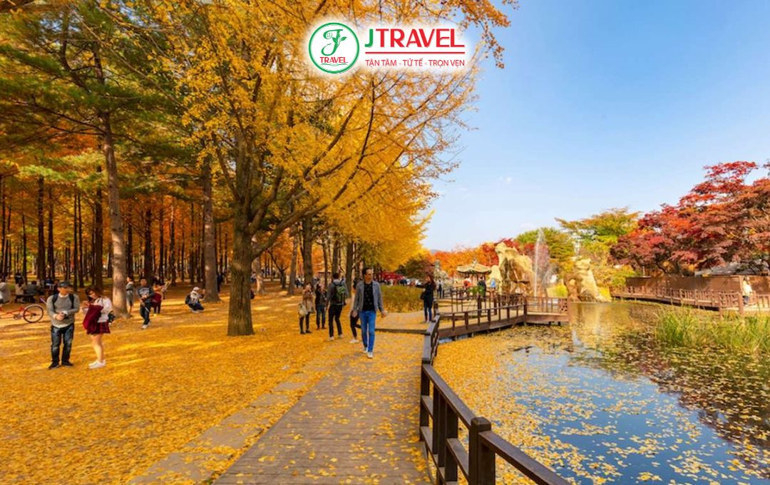 Trải Nghiệm Nhất Định Phải Thử Khi Đến Đảo Nami