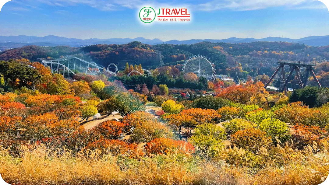 Everland – công viên giải trí ngập tràn sắc hoa mùa thu, lý tưởng cho cả người lớn và trẻ em
