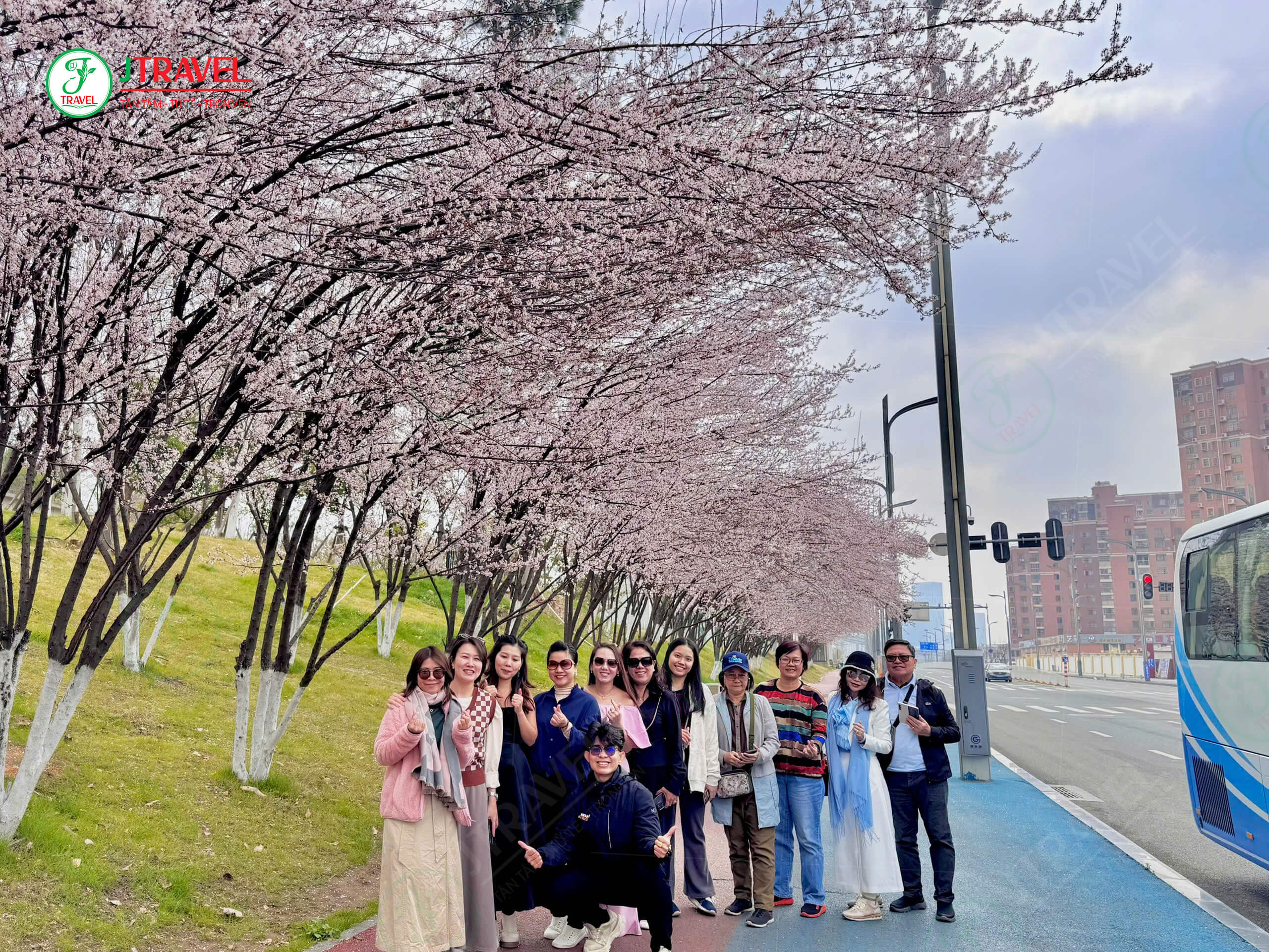 Đoàn khách J Travel check in Vũ Hán mùa hoa anh Đào