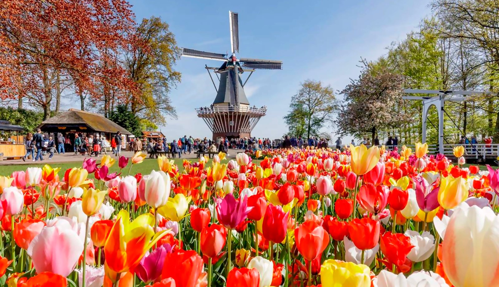 Tham quan vườn hoa Keukenhof (nguồn internet)