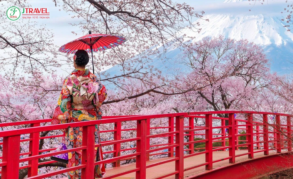 Du khách ngắm hoa anh đào và tham gia lễ hội hanami truyền thống tại Nhật Bản