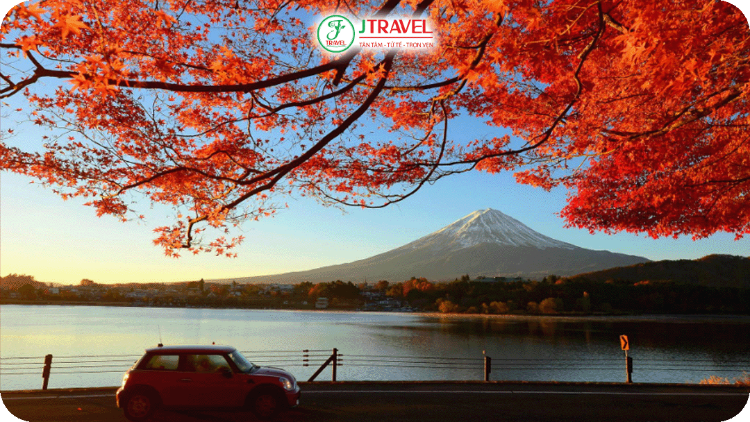 Đắm chìm trong vẻ đẹp tựa tranh vẽ của mùa thu Nhật Bản