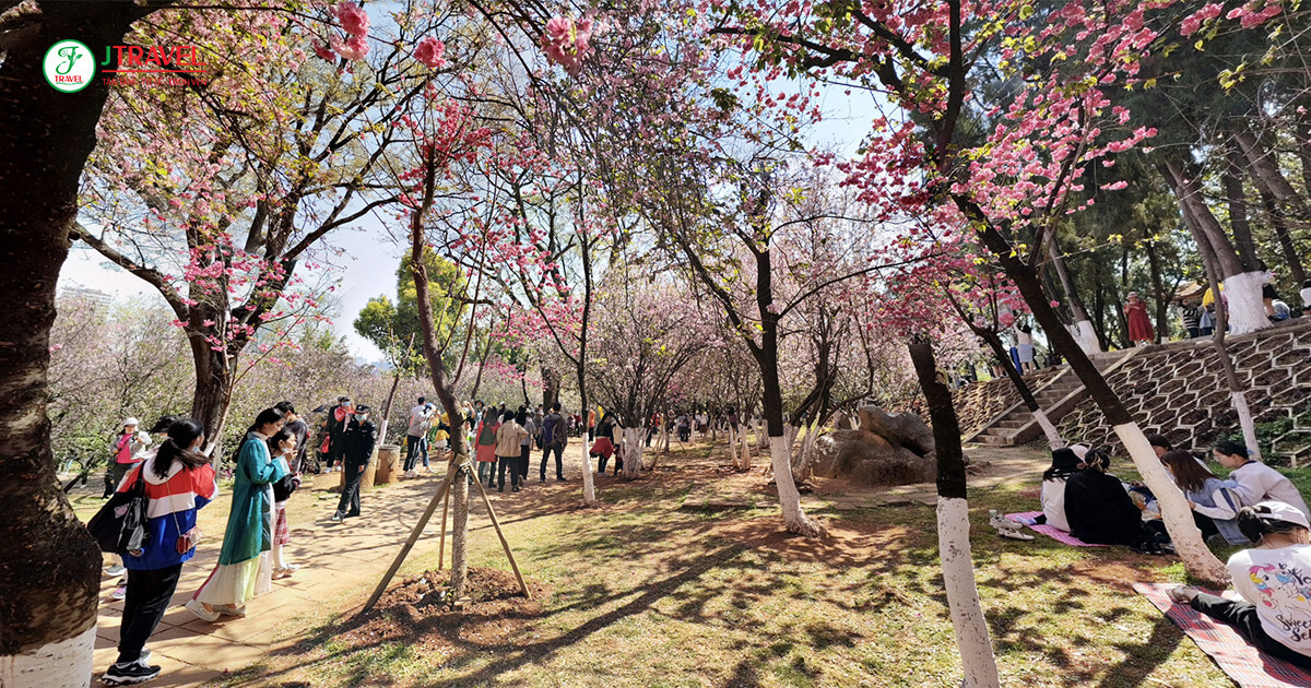 Công Viên Viên Thông Sơn