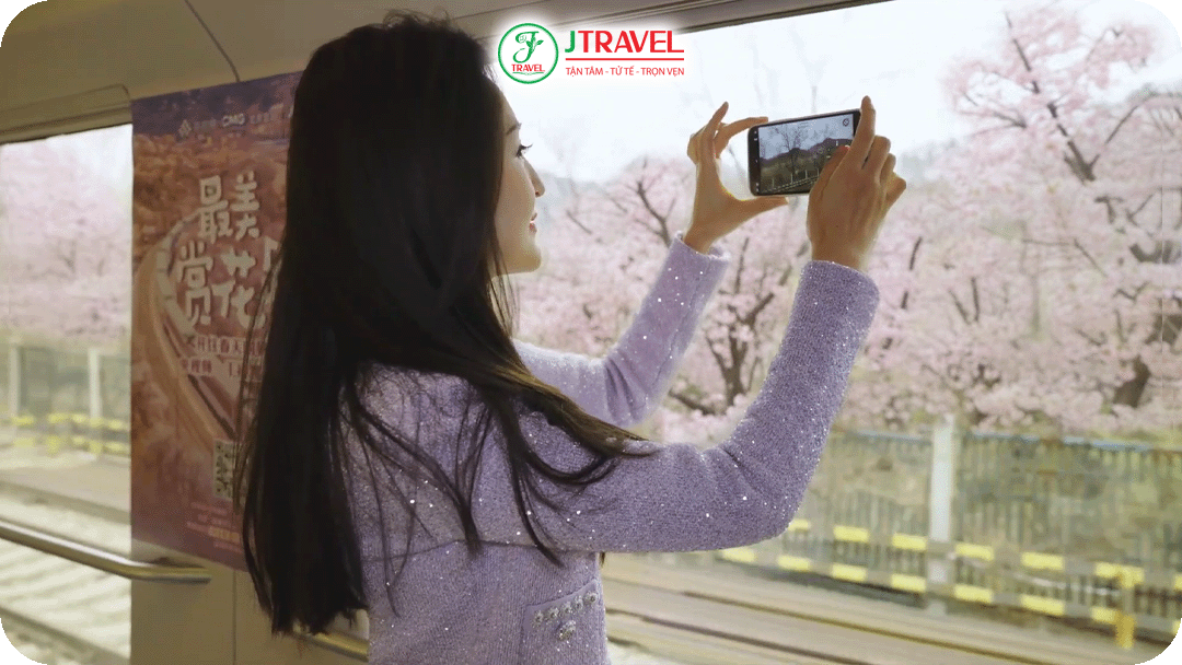 Ngồi trong toa tàu – ngắm nhìn mùa xuân qua khung cửa kính