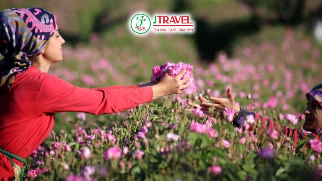 Thổ Nhĩ Kỳ mùa hoa hồng 