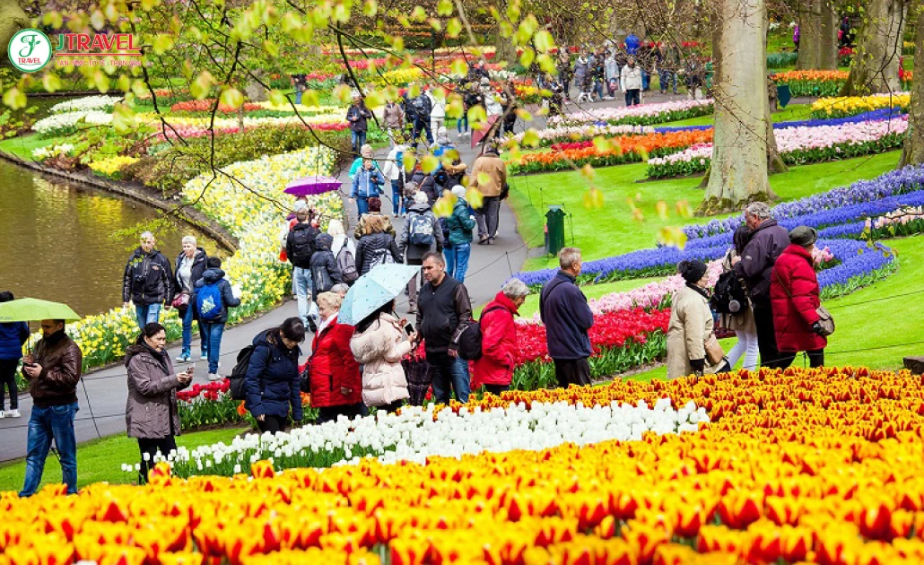 Ngắm hoa tulip và chụp ảnh mùa xuân tại Hà Lan