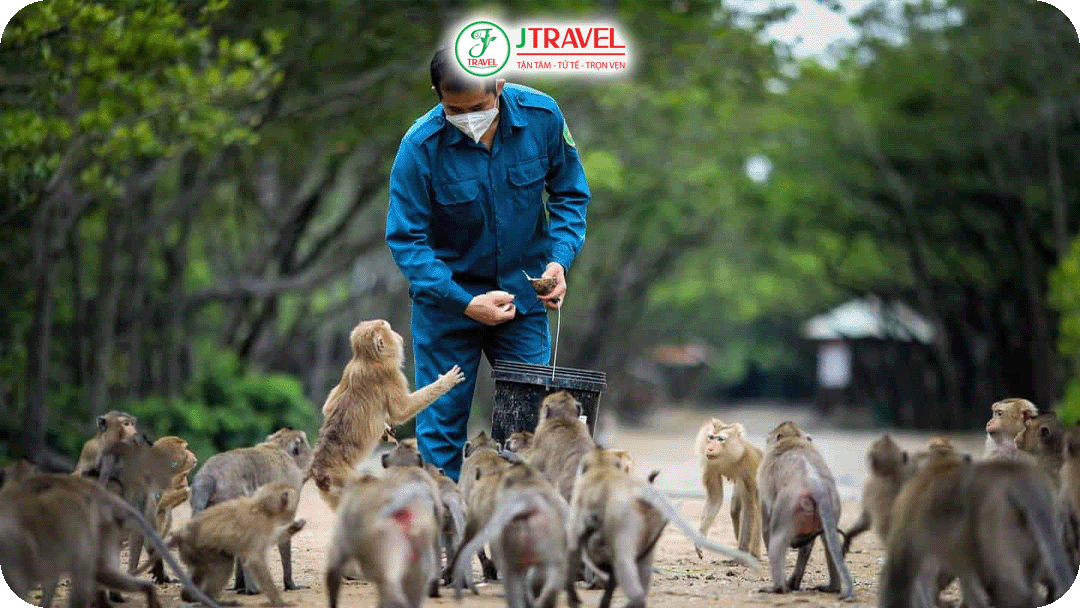 Tham quan đảo Khỉ - Cần Giờ trong ngày cùng tour Miền Nam của J Travel