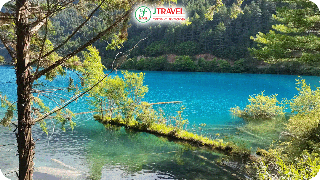 Mùa xuân là thời điểm Cửu Trại Câu bắt đầu thức giấc sau mùa đông dài