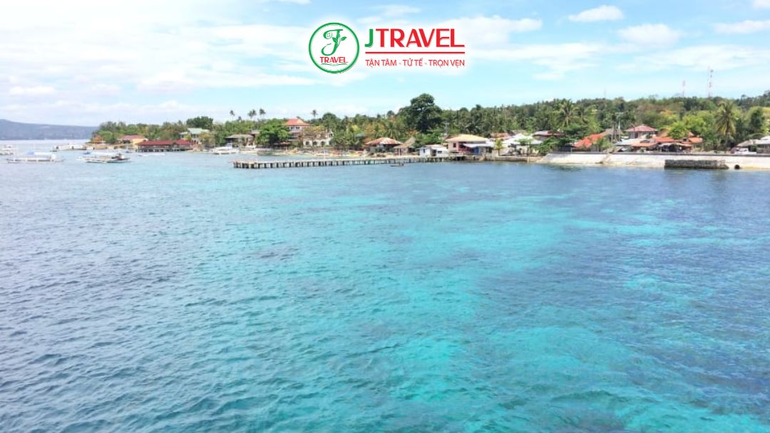 Quy trình bơi cùng cá mập voi tại Tan-awan Oslob