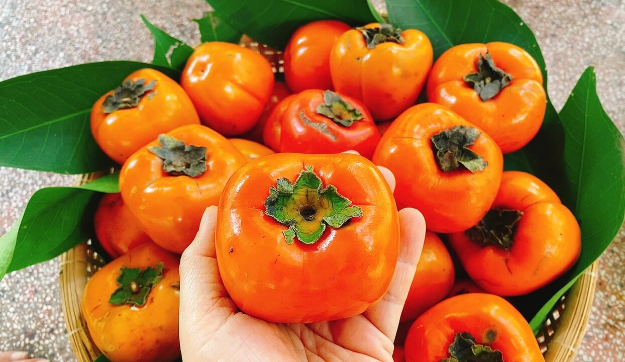 hồng nhật